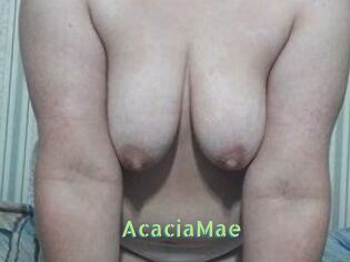 AcaciaMae