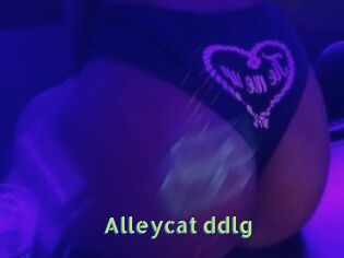 Alleycat_ddlg