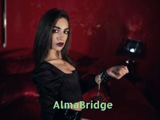 AlmaBridge