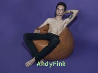 AndyFink