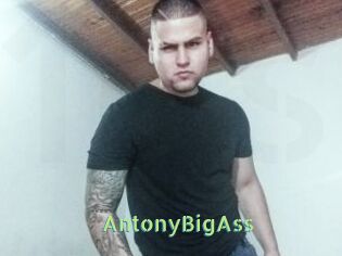 AntonyBigAss