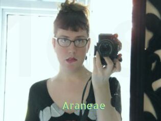 Araneae