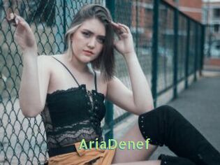 AriaDenef