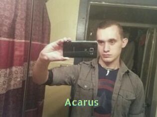 Acarus