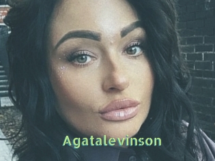 Agatalevinson