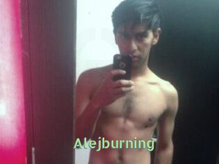 Alejburning