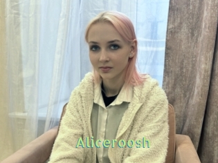 Aliceroosh