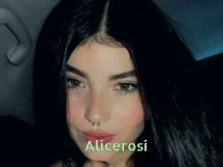 Alicerosi