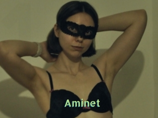 Aminet