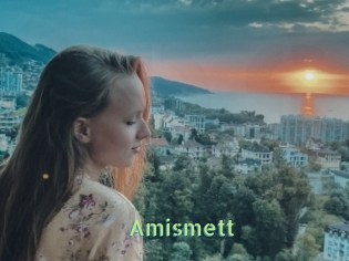 Amismett