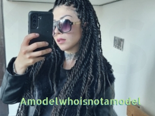 Amodelwhoisnotamodel