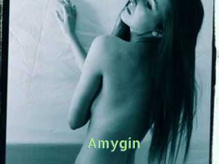 Amygin