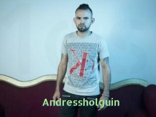 Andressholguin