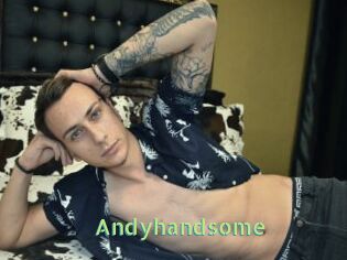 Andyhandsome