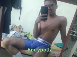 Andypolla