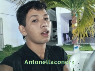 Antonellaconors