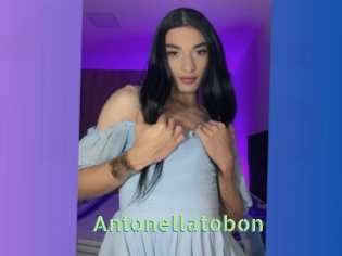 Antonellatobon