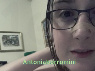 Antoniaborromini