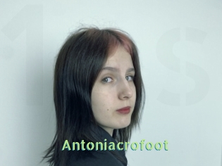 Antoniacrofoot