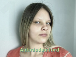 Antoniadumford