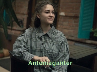 Antoniaganter