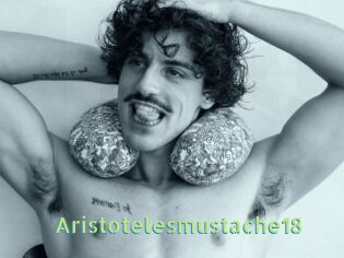 Aristotelesmustache18