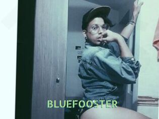 BLUEFOOSTER