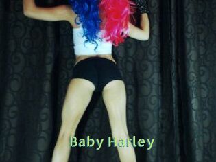 Baby_Harley