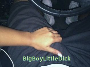 BigBoyLittleDick