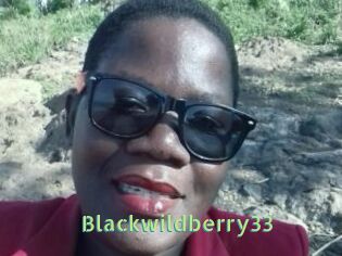 Blackwildberry33