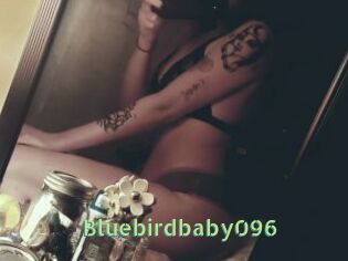 Bluebirdbaby096