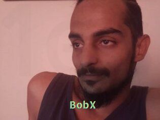 BobX