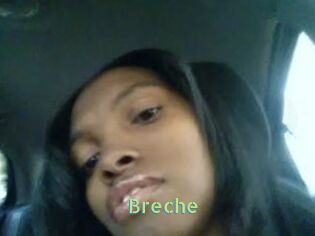 Breche