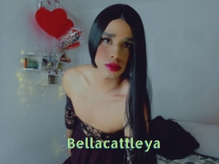 Bellacattleya