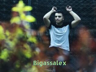 Bigassalex