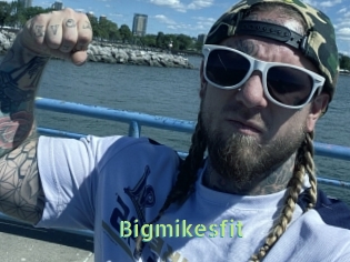 Bigmikesfit