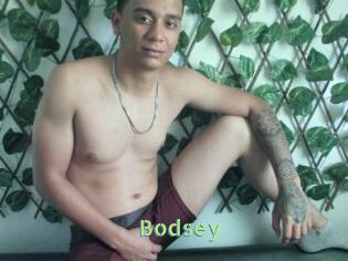 Bodsey