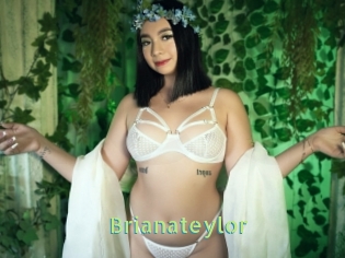 Brianateylor