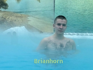 Brianhorn