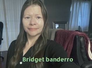 Bridget_banderro