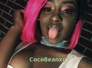 CocoBeanxo