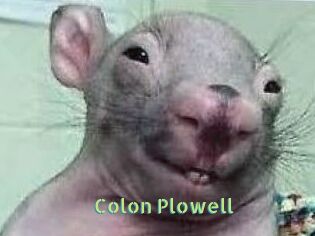 Colon_Plowell