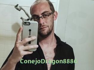 ConejoDragon8886