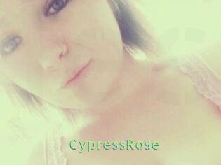 Cypress_Rose