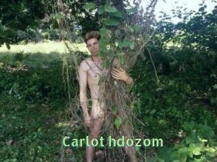 Carlot_hdozom