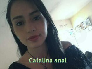 Catalina_anal