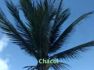 Chacul