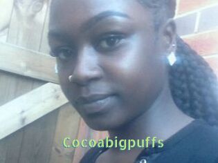 Cocoabigpuffs