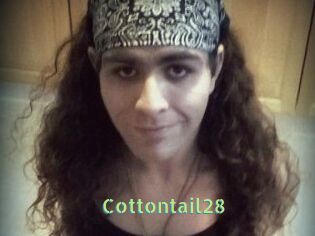 Cottontail28