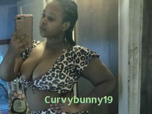 Curvybunny19